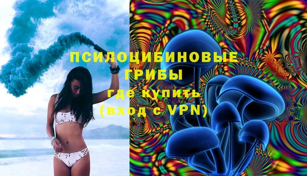 спиды Осинники