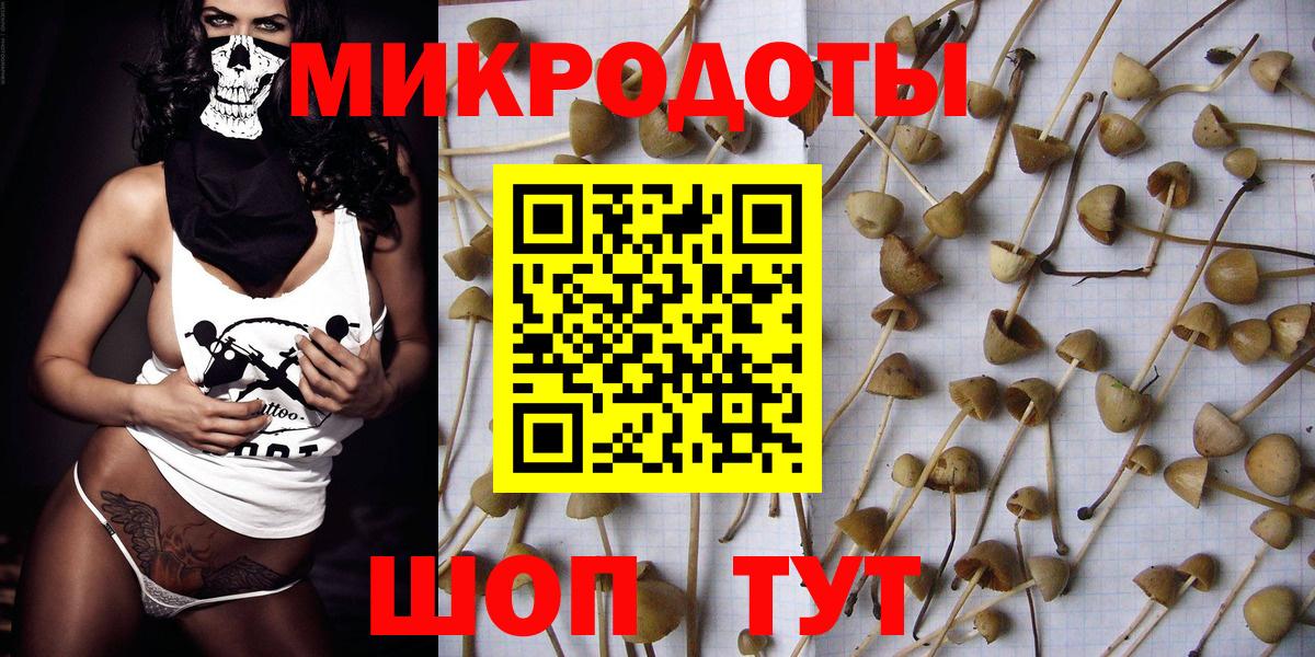 Псилоцибиновые грибы GOLDEN TEACHER Тверь