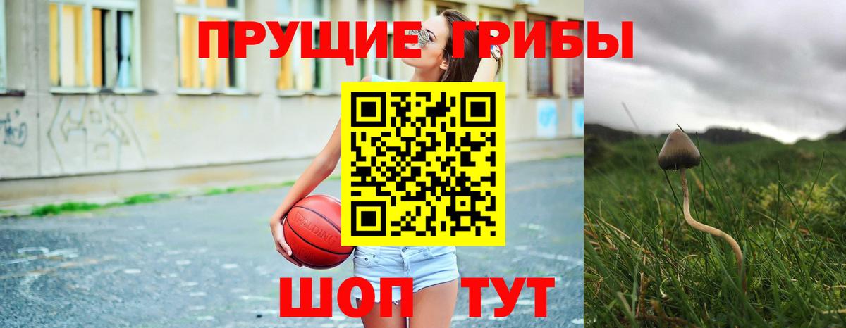 Галлюциногенные грибы Psilocybe  Псилоцибиновые грибы ЛСД  Вход с VPN  Тверь 
